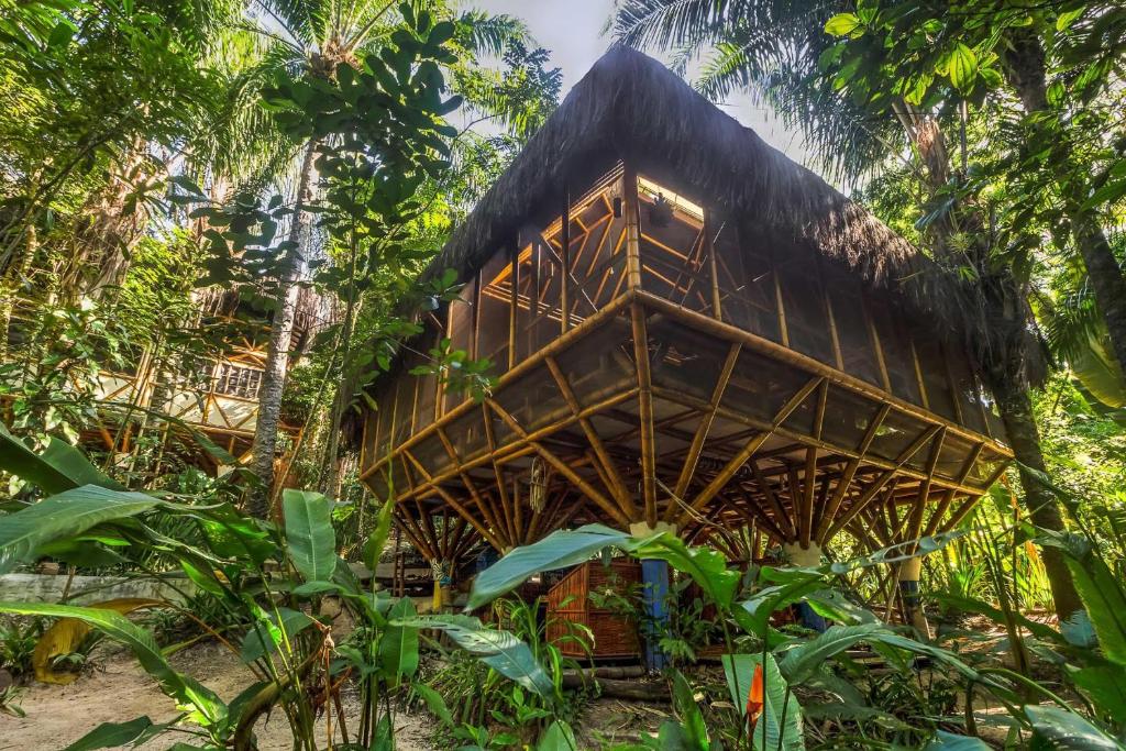 uma cabana de bambu na selva com árvores em Universo Pol Bamboo Hostel em Morro de São Paulo