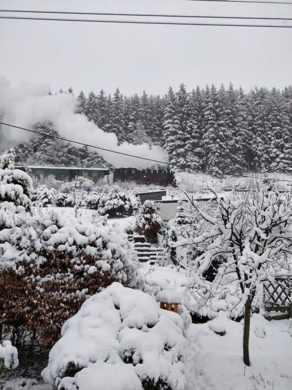 einen schneebedeckten Garten mit Bäumen im Hintergrund in der Unterkunft Ferienwohnung Bimmelbahn-Blick in Neudorf