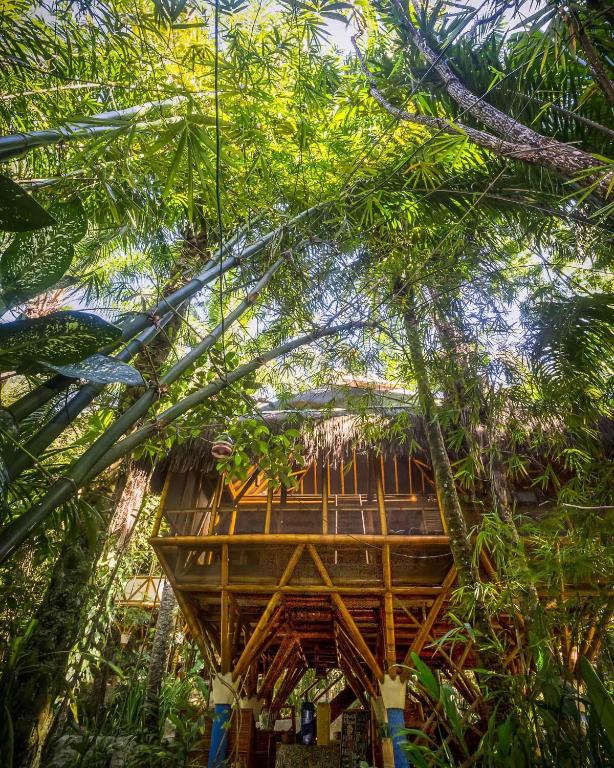  Universo Pol Bamboo Hostel