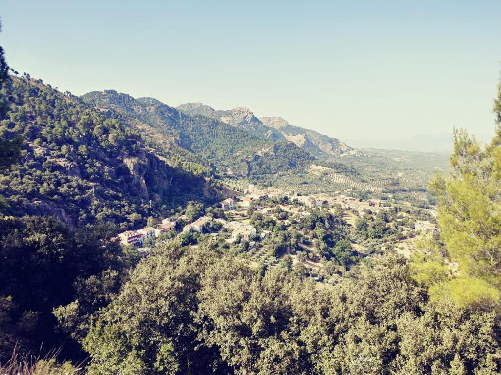 Φυσικό τοπίο κοντά σε αυτό το διαμέρισμα