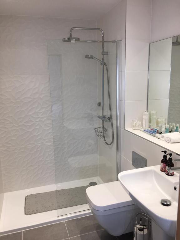 a bathroom with a shower and a toilet and a sink at Prestbury Bed & Breakfast in Salisbury