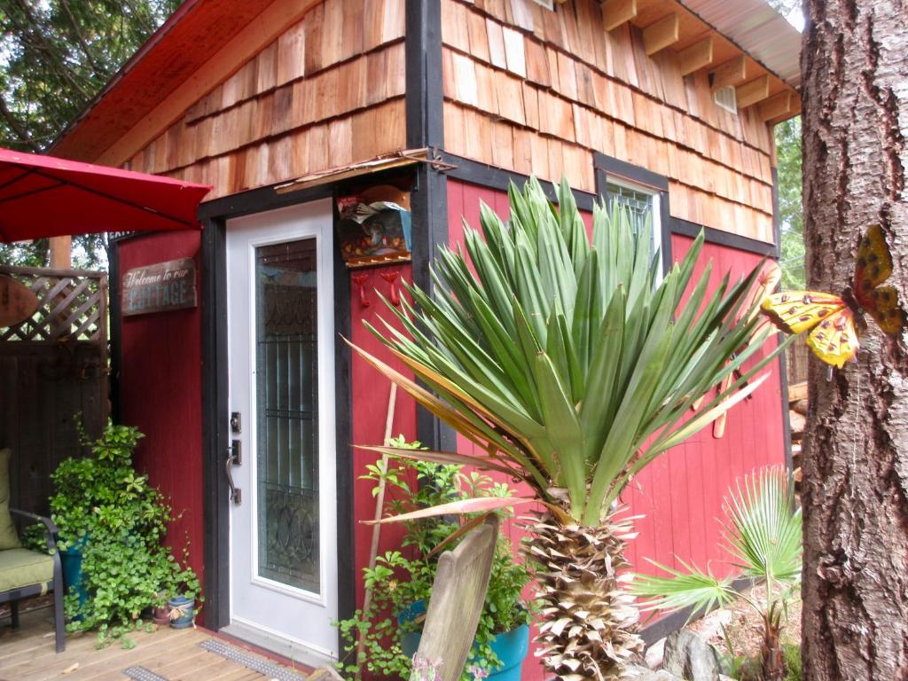 a red house with a palm tree in front of it at Magnolia Petal in Ganges