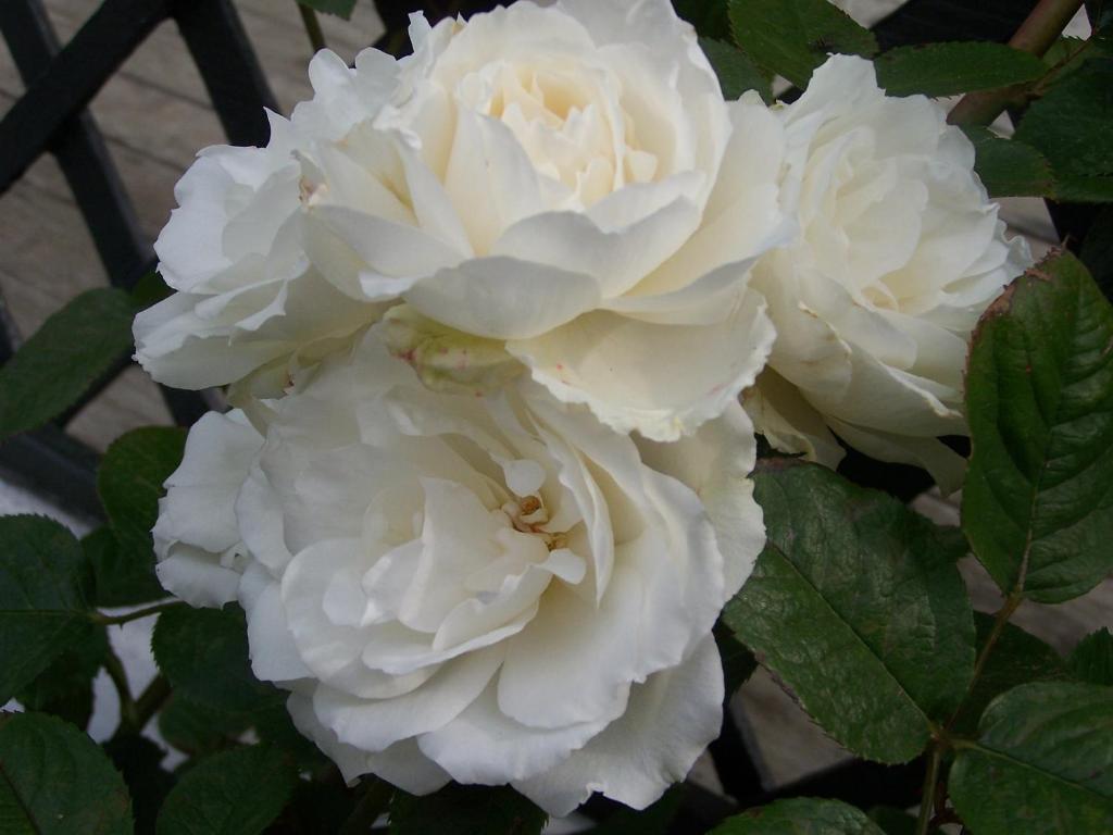 The Point B&B - Resim 42