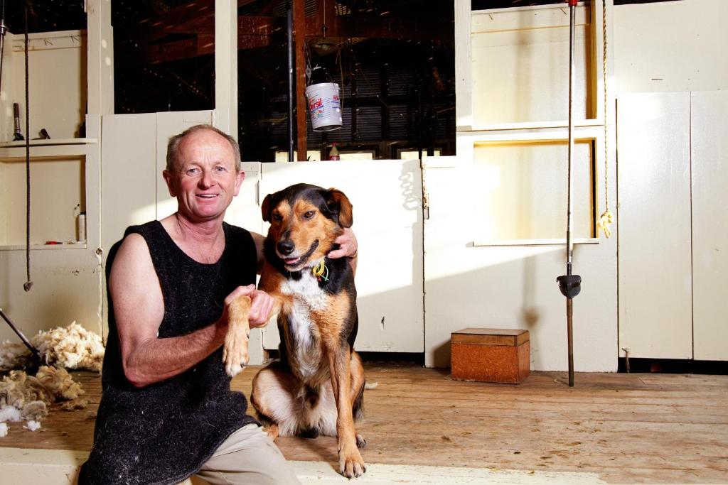 The Point B&B - Resim 44