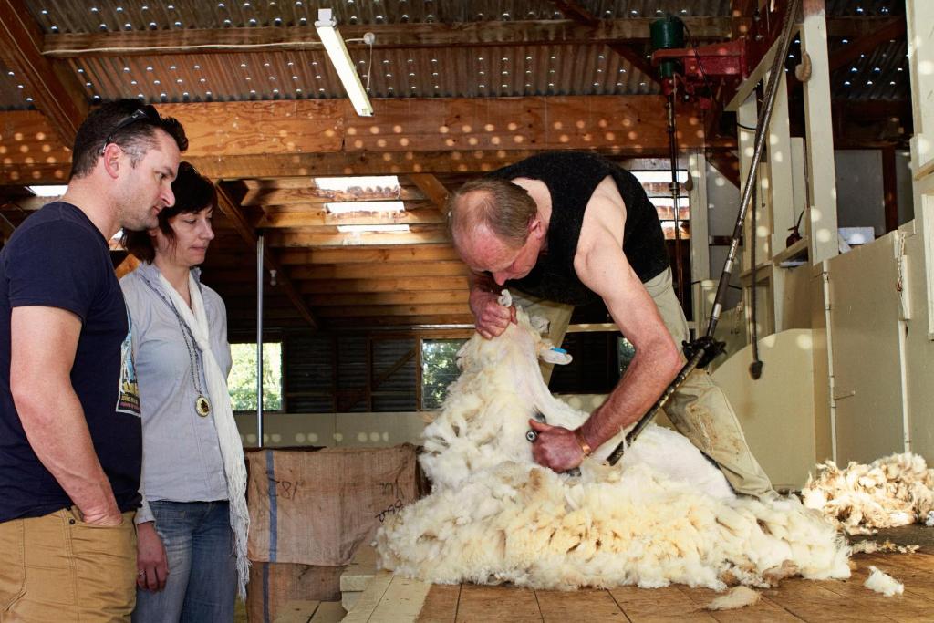 The Point B&B - Resim 45