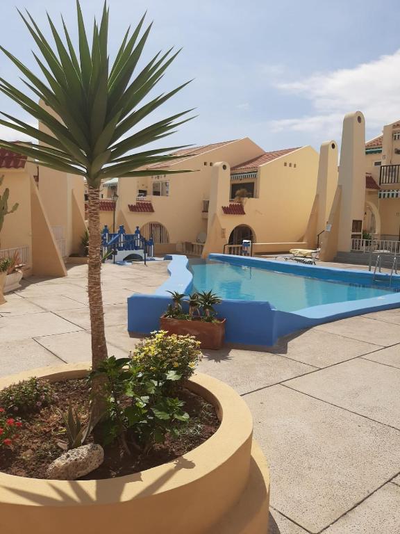 Nearly the pool, Adeje – Updated 2022 Prices