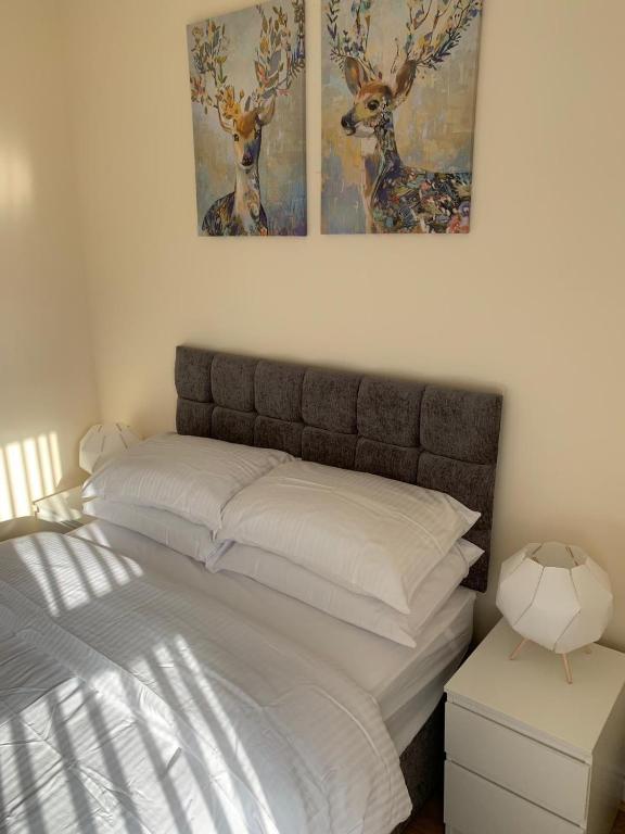 Smeaton serviced Accommodation - Resim 37