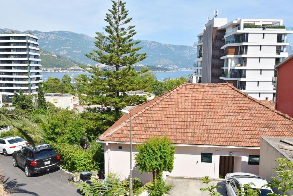 a house with a pine tree in a city at Apartments Ivanovic in Budva