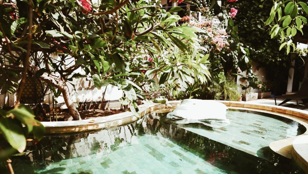 Kalua Boutique Bungalows - 3