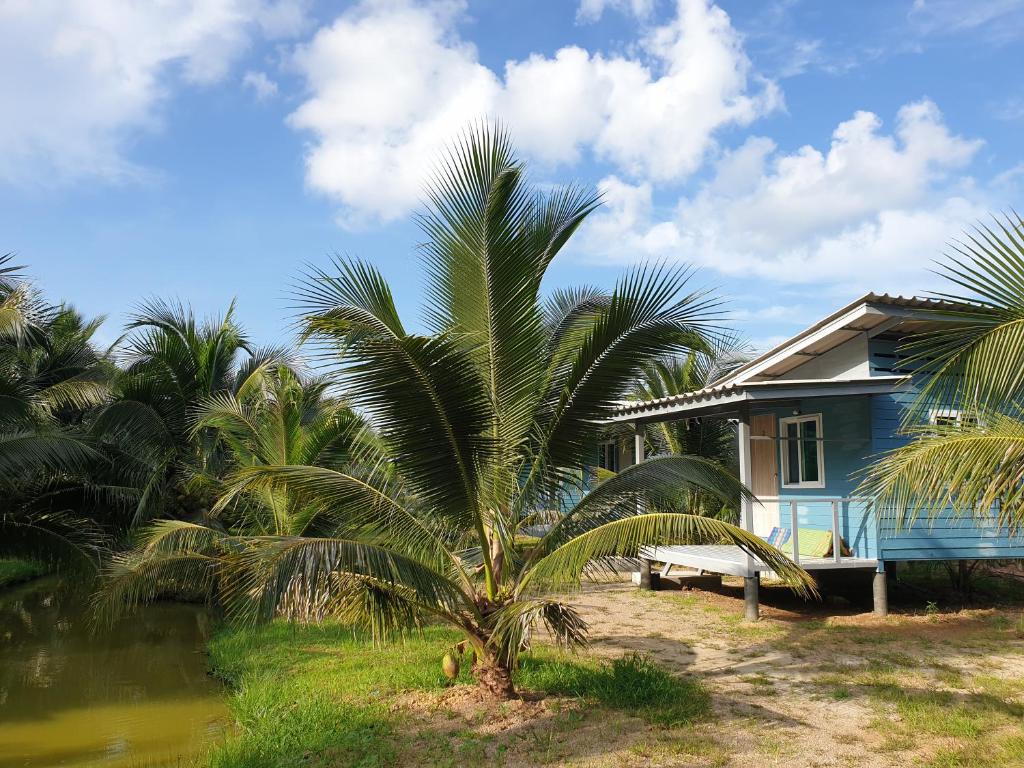Zahrada ubytování Baan Suan Coconut Ko Yao Noi