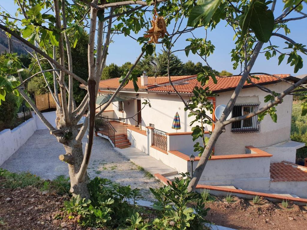 dom z drzewem przed nim w obiekcie L'Opuntia sul lago w mieście Caccamo