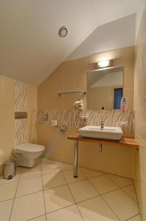 Hotel U Pramenu - Resim 21