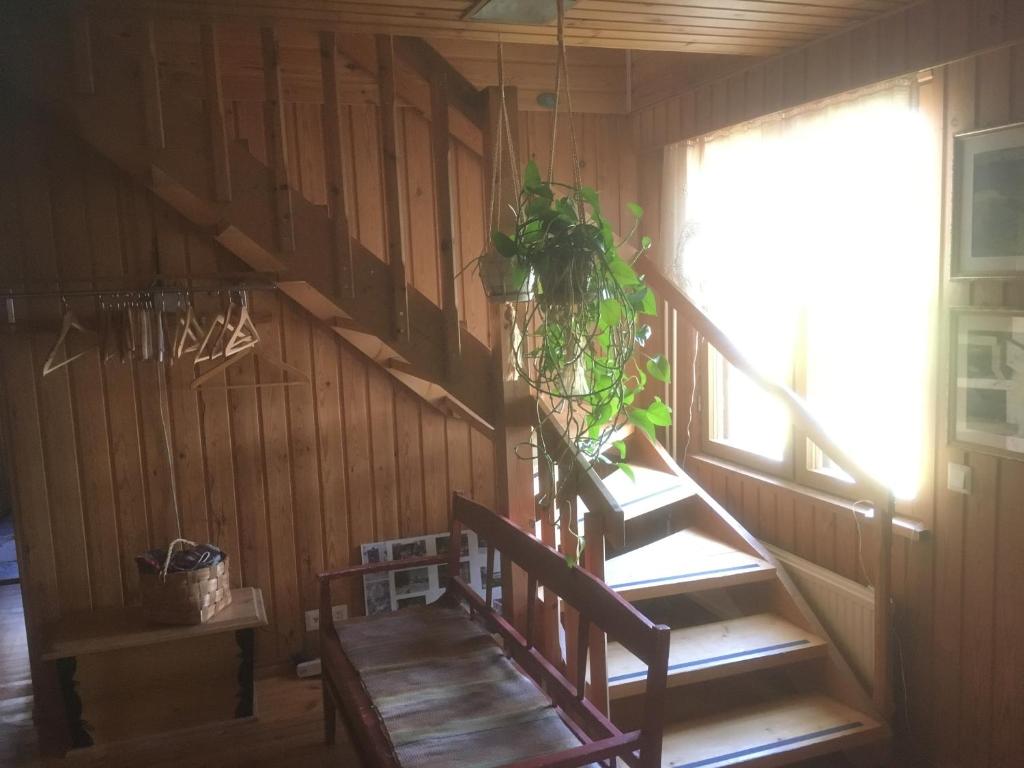 uma escada de madeira num quarto com uma planta em Farmholiday Kumpunen em Petäjävesi