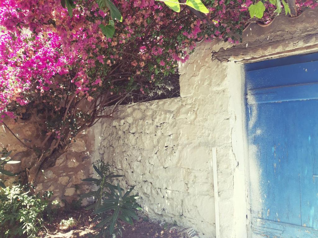 a stone wall with pink flowers next to a blue door at Villa Avli in Kardamili