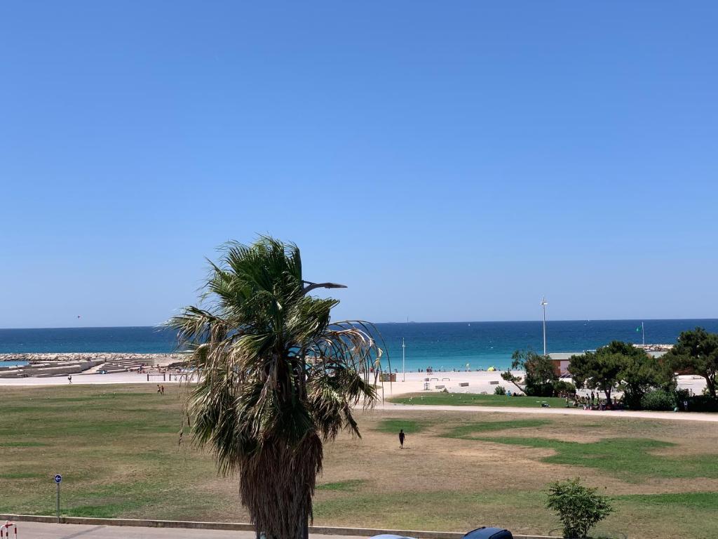a palm tree on a beach with the ocean in the background at PRADO PLAGE in Marseille
