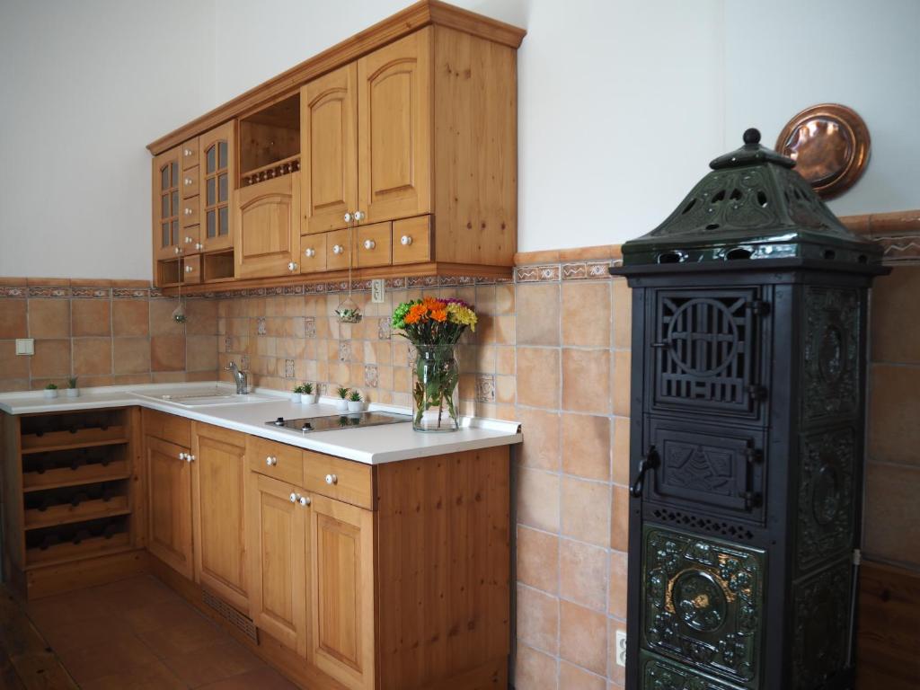 Kuchyň nebo kuchyňský kout v ubytování Wellness Hotel Zámeček