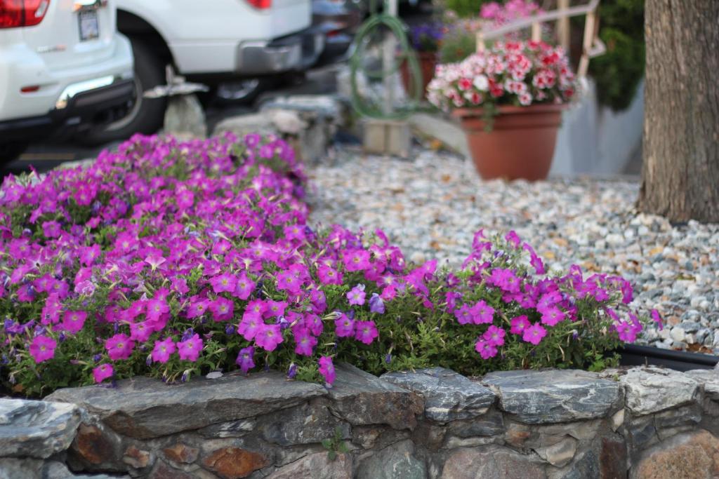 Best Budget Inn & Suites Kamloops - Resim 17