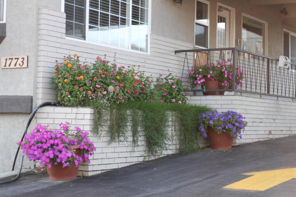 Best Budget Inn & Suites Kamloops - Resim 19