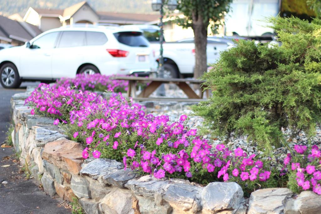 Zahrada ubytování Best Budget Inn & Suites Kamloops