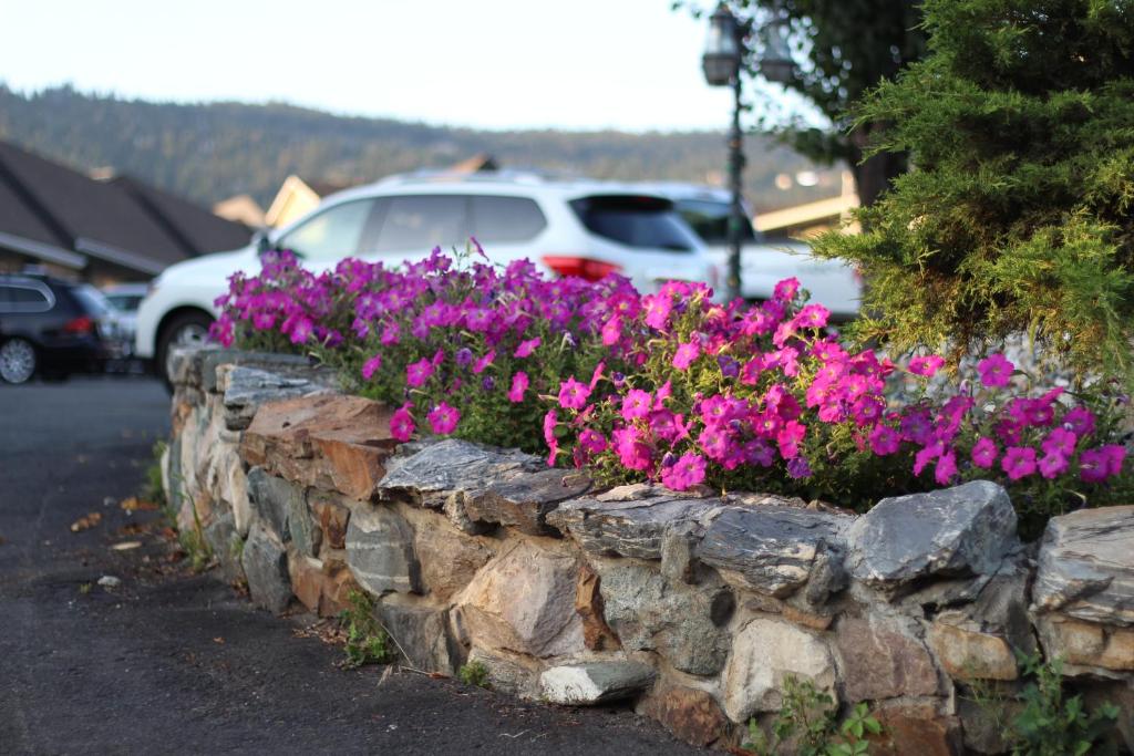 Best Budget Inn & Suites Kamloops - Resim 26