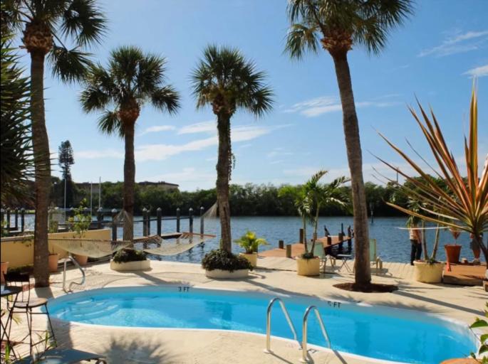 a swimming pool with palm trees and a body of water at The Inn at Turtle Beach (Adults Only) in Siesta Key