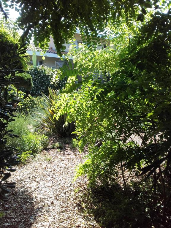 un jardin avec un chemin de gravier en face d'un bâtiment dans l'établissement Le Lodge du Cap Ferret, à Cap-Ferret