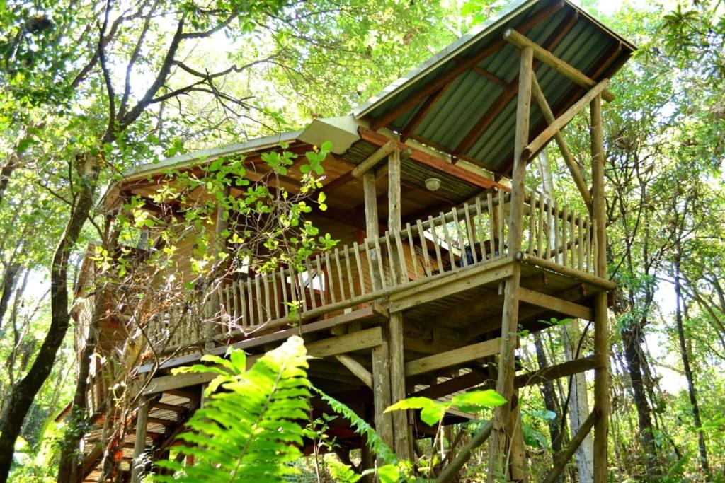 ein Baumhaus mitten im Wald in der Unterkunft Waterbessiebos cottage in Tzaneen