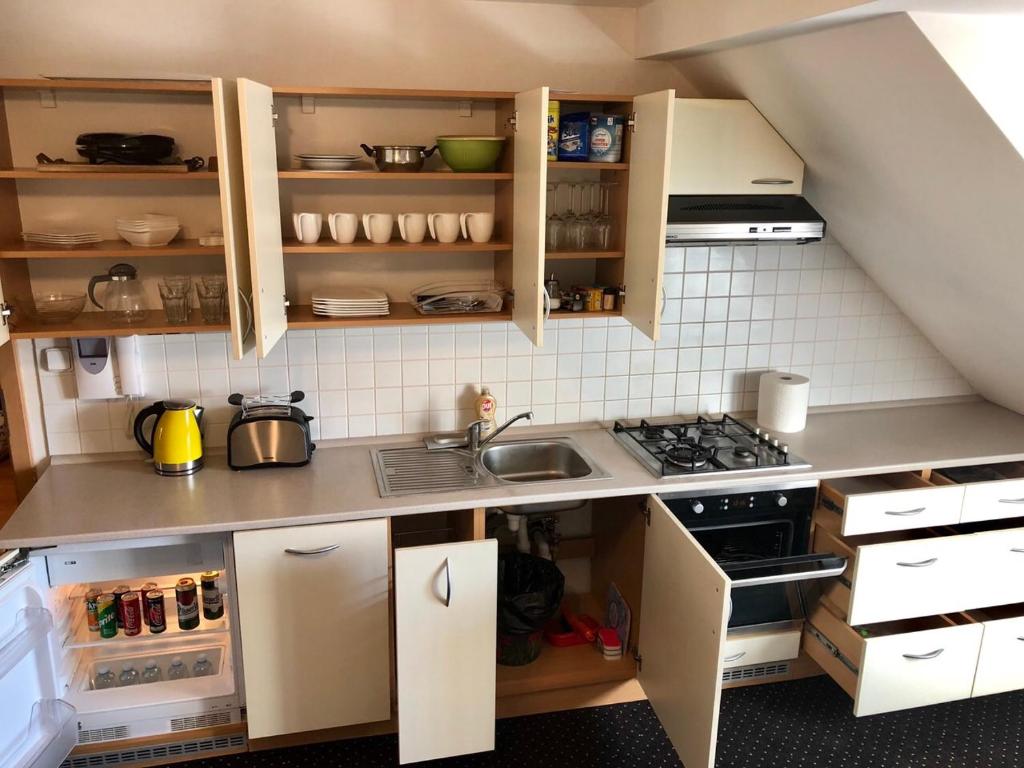 Cucina o angolo cottura di Apartmány Mariánská