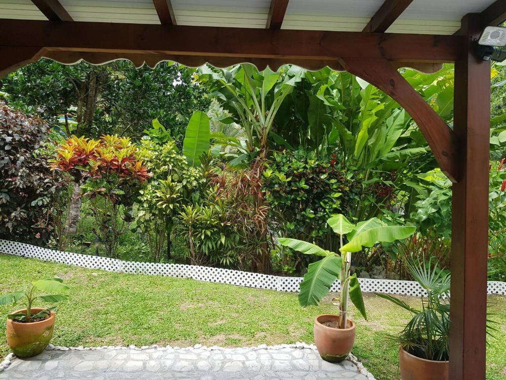 a garden with plants in pots on the grass at A case an nou in Sainte-Anne