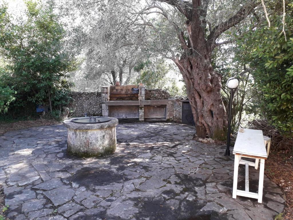 Fotografie z fotogalerie ubytování House in the Olive Garden v destinaci Ágios Ioánnis