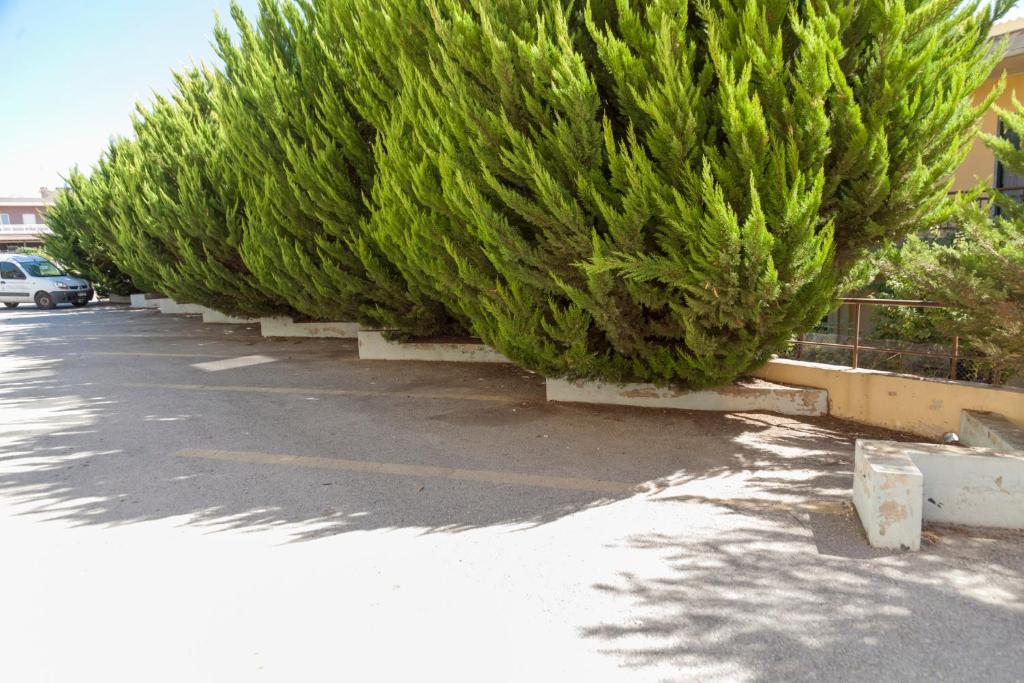 Via Mare Apartments - Resim 45