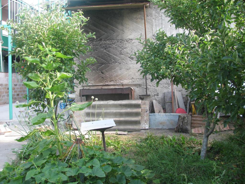 Zahrada ubytování Ani Guest House