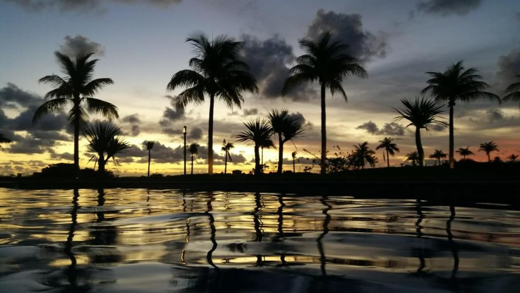 una puesta de sol sobre un cuerpo de agua con palmeras en AP. DE LUXO NO IBEROSTATE en Praia do Forte