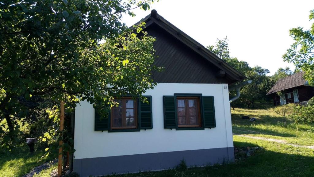 a small house with green shutters and a tree at Kellerstöckl am Sauerberg in Moschendorf