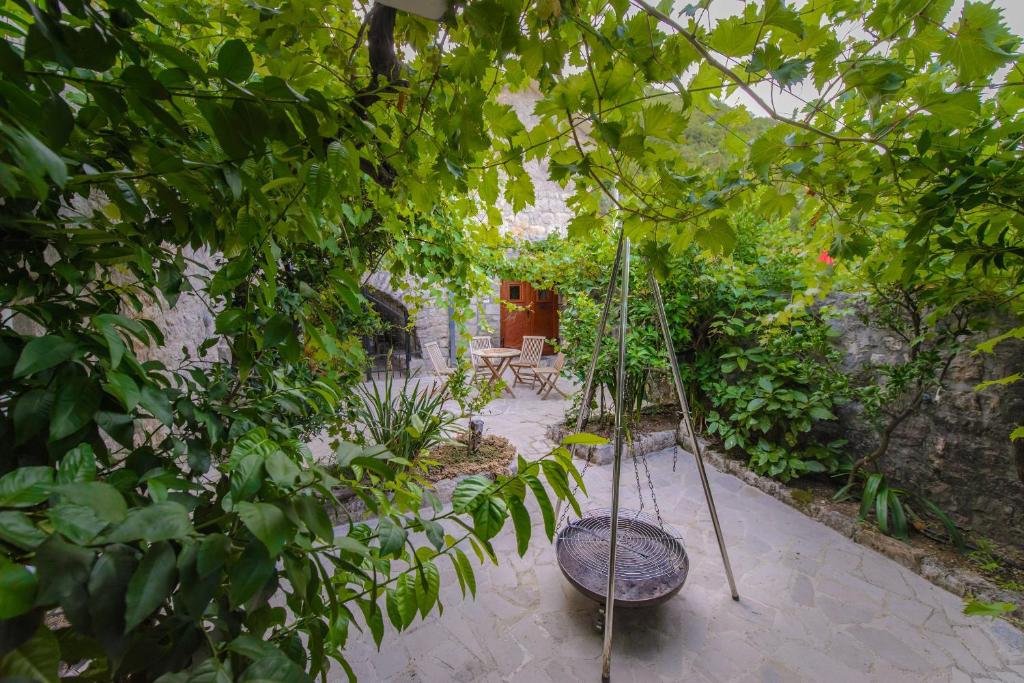 Zahrada ubytování Mediteraneo Villa