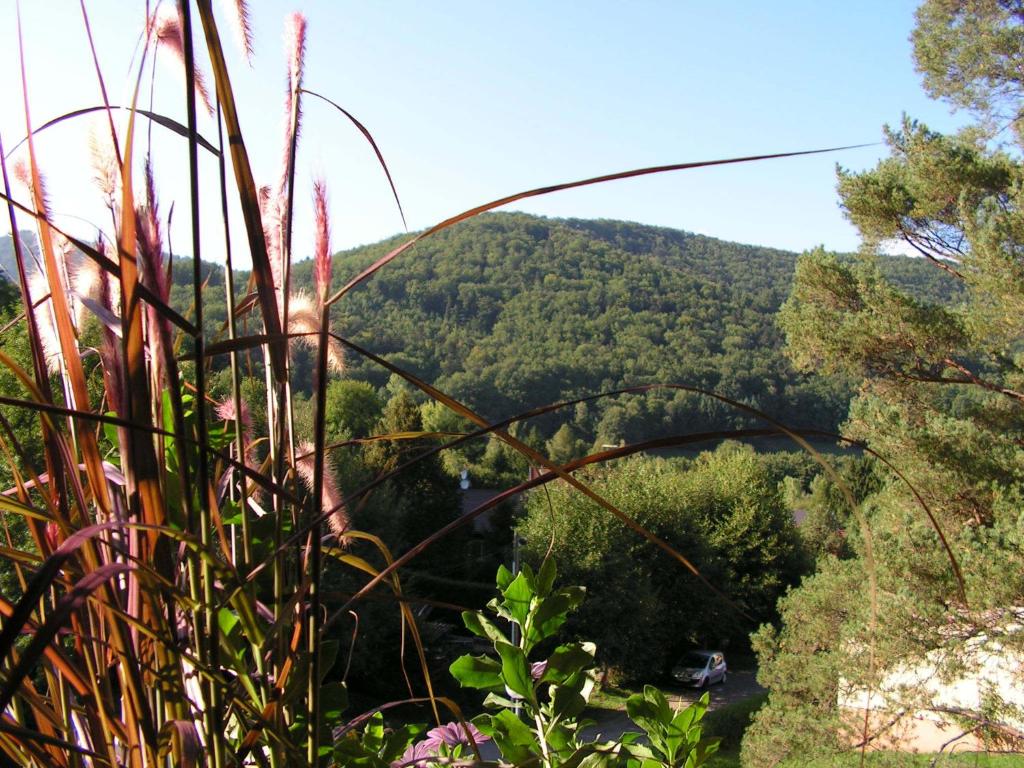 Buhl de Bonheur – photo 17