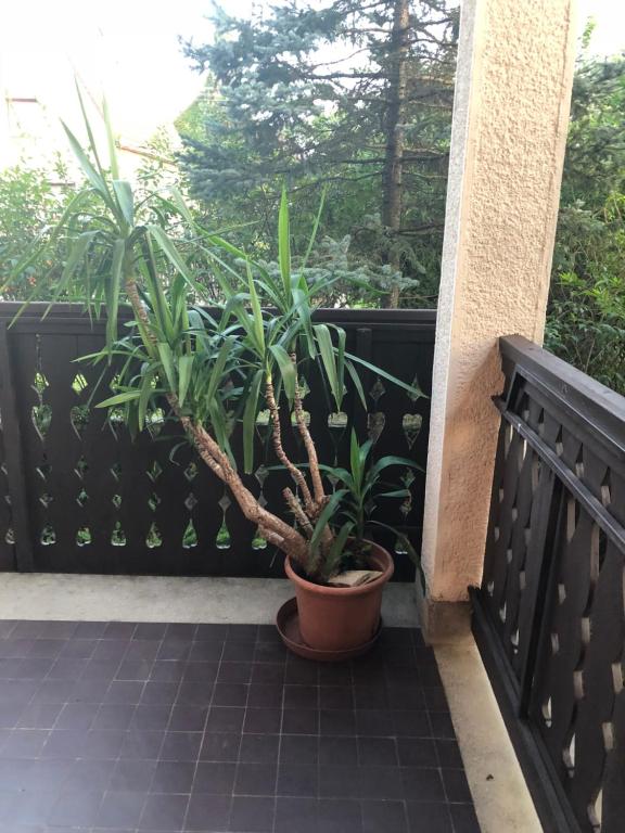 Balkón alebo terasa v ubytovaní Veranda Apartman