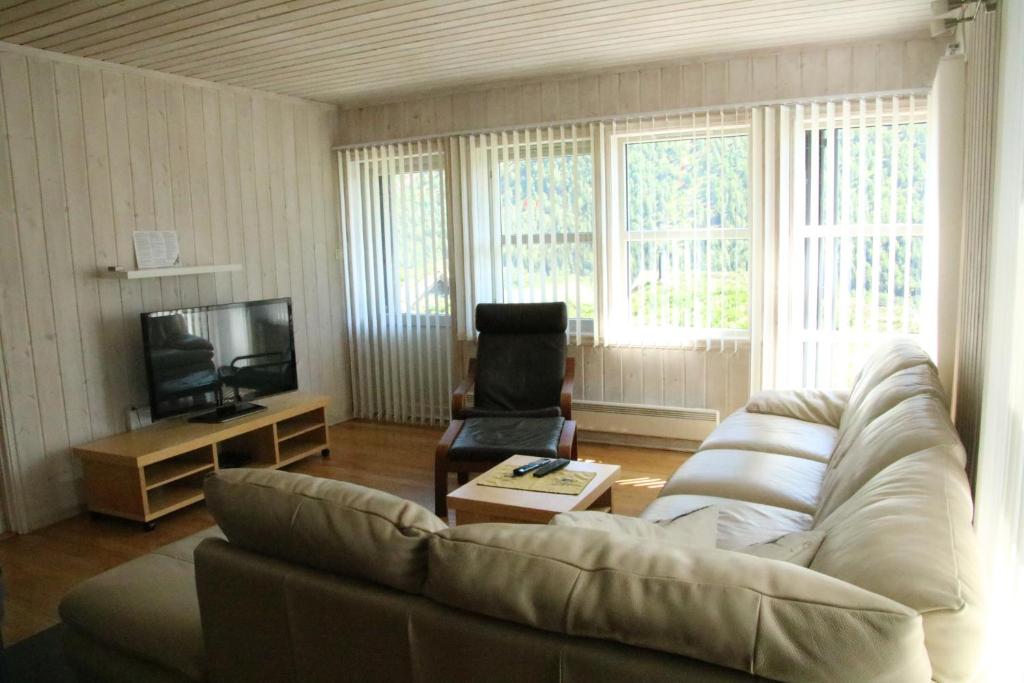 sala de estar con sofá y TV en Myrkdalen Resort Øvre Bygardslii apartment en Vossestrand