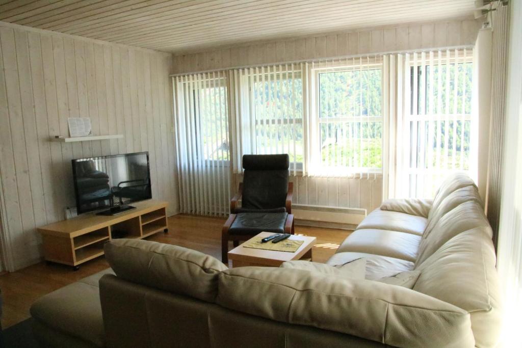 un soggiorno con divano e TV di Myrkdalen Resort Øvre Bygardslii apartment a Vossestrand