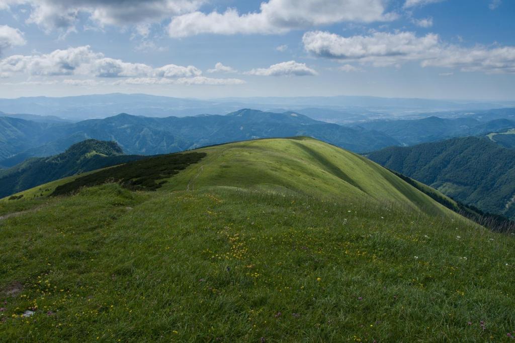 Príroda v okolí horskej chaty