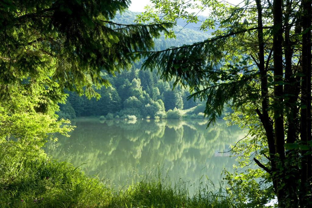 Príroda v okolí horskej chaty