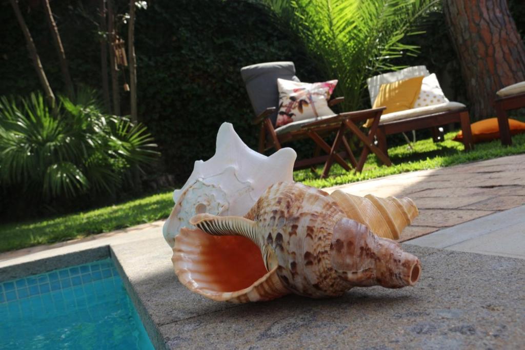a statue of a shell on the ground next to a pool at BUBA BnB SUPERIOR in Anzio