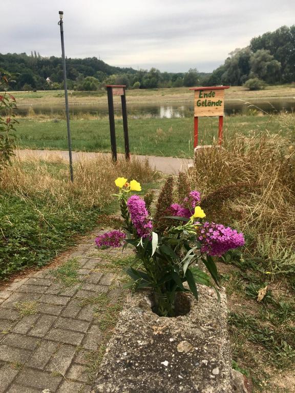 Zahrada ubytování Pension Elbkiosk