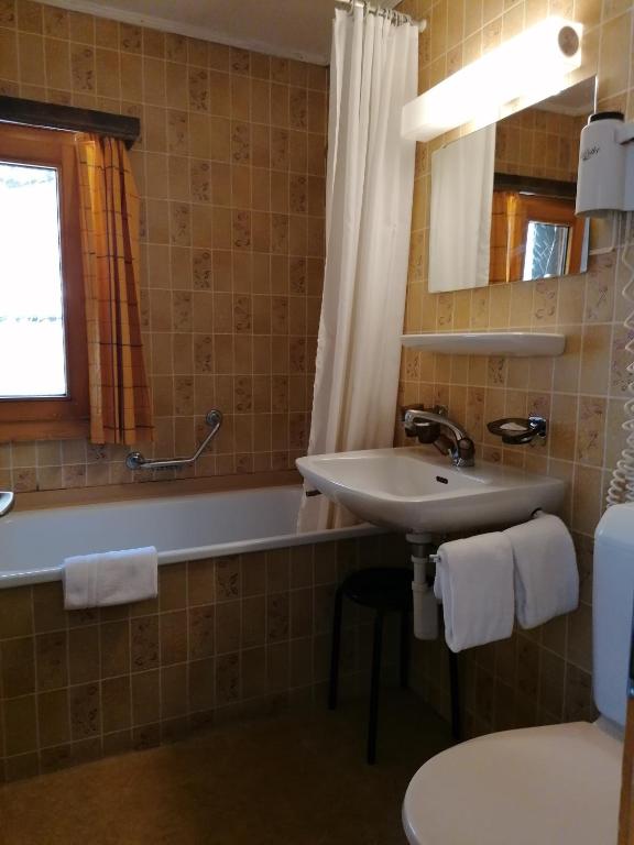 Petit Helvetia Budget Hotel - Resim 3