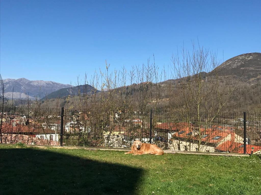 Příroda nedaleko apartmánu