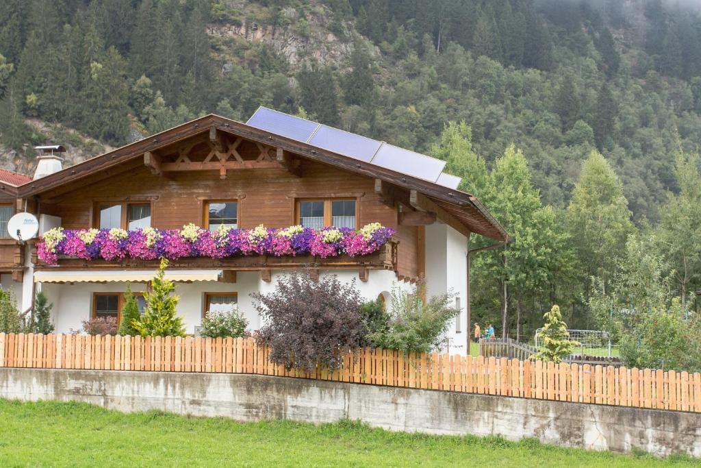 Příroda nedaleko apartmánu