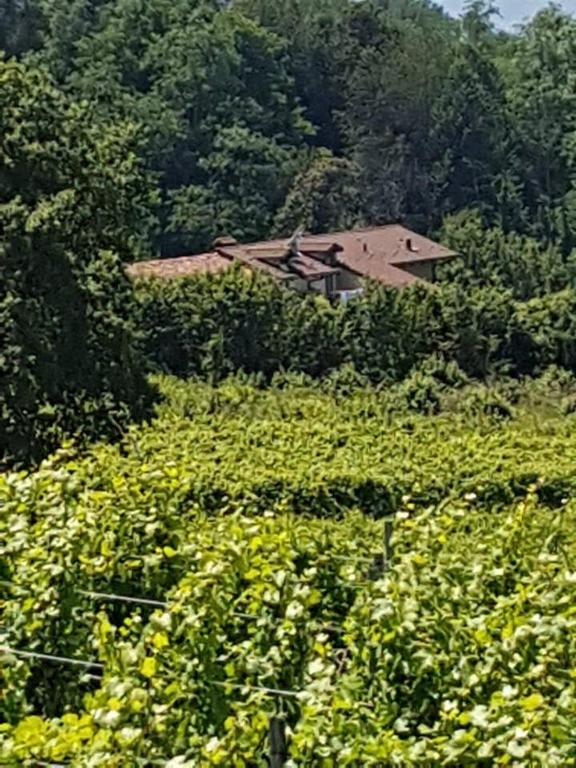 La Casa di Roby-1 appartamento la morra con piscina - Appartement 1 Chambre