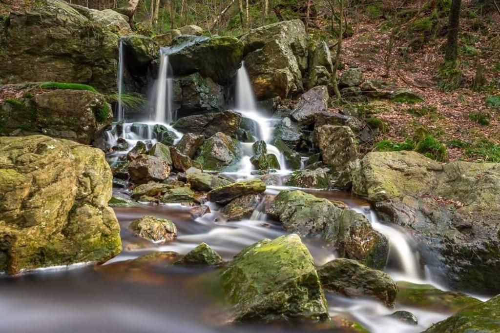 Natuurlandschap vlak bij de bed & breakfast