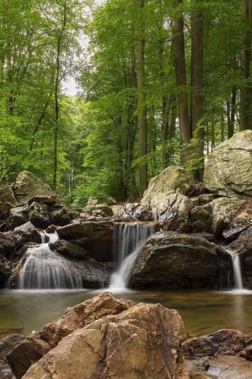 Natuurlandschap vlak bij de bed & breakfast