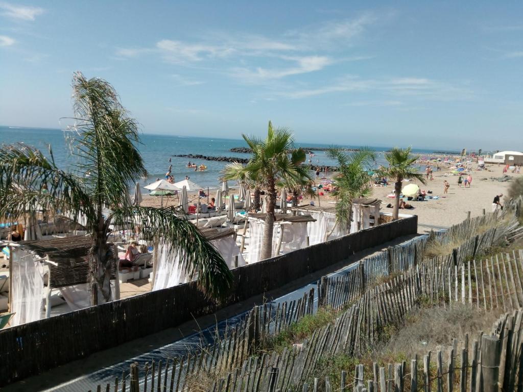 a beach with a fence and palm trees and people at Studios - Bord de Plage in Vias